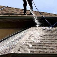 Asphalt shingle roof cleaning