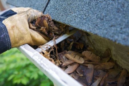 The complete guide to gutter cleaning in tennessee protect your home year round